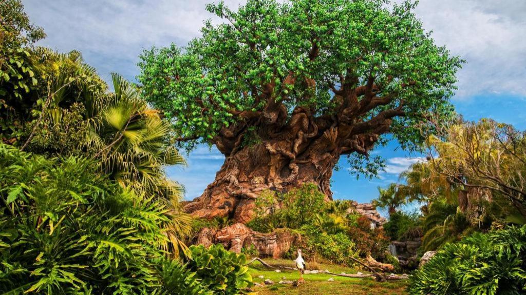 סלבריישן Disney'S All-Star Sports Resort מראה חיצוני תמונה